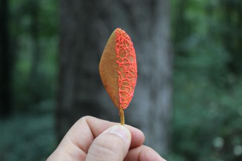 Organic Embroidery by Lina Khalil — embroidered leaf and thread work, image 7 of 17.